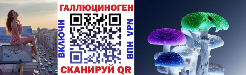 Галлюциногенные грибы Psilocybine cubensis Невель
